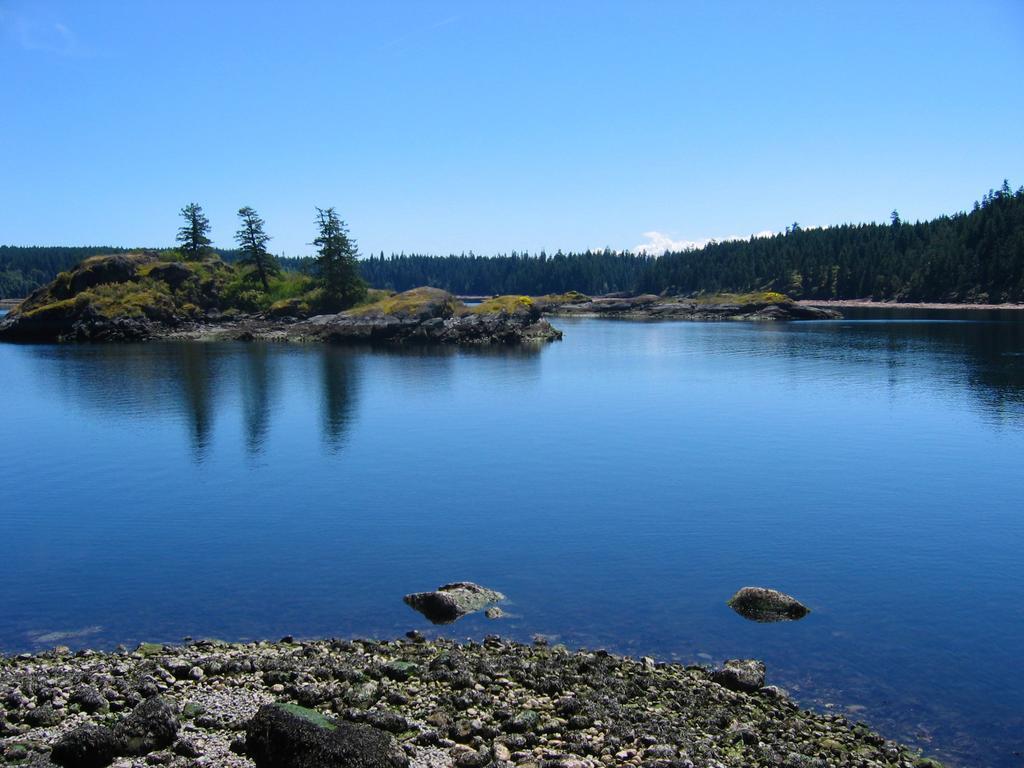 Gowlland Harbour Resort Heriot Bay Rum bild